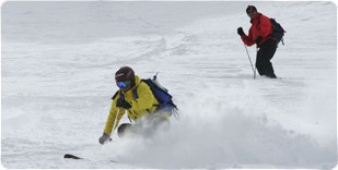 Ski school and instructors